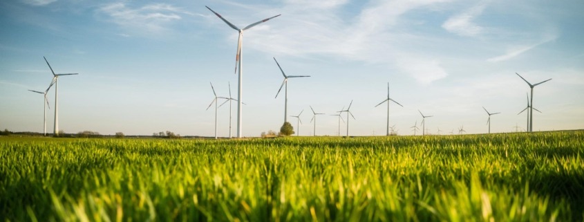 Ökologische Gegenleistungen