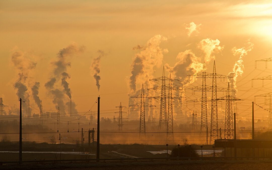 Ökologische Gegenleistungen Carbon Leakage Verordnung (BECV)