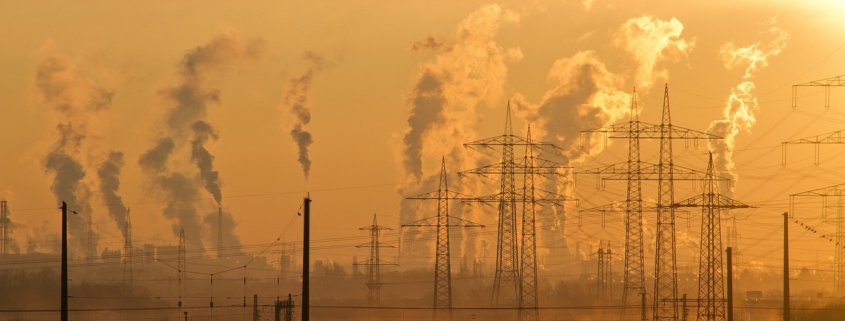 Ökologische Gegenleistungen Carbon Leakage