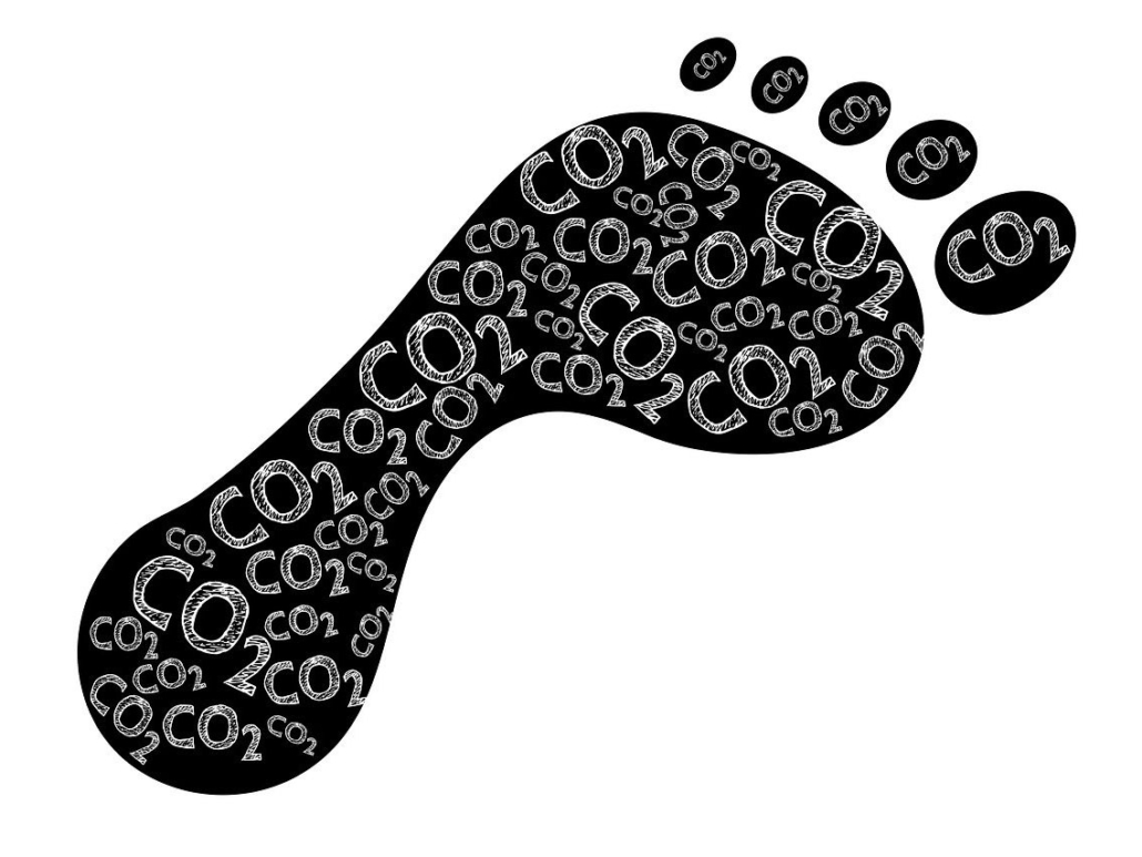 Case Study Transformationskonzept CO2 Fußabdruck