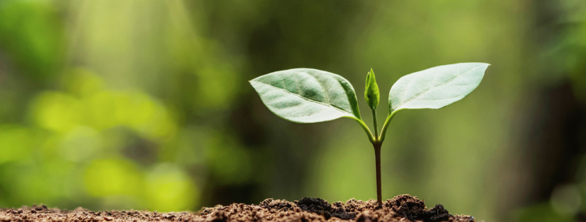 VSME Standard Nachhaltigkeitsbericht