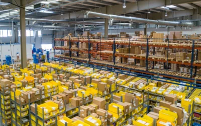 Case Study Beleuchtungsförderung: LED-Modernisierung in einer Logistikhalle mit 19.350 Euro Zuschuss